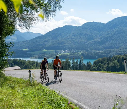 Fuschlseeregion © Christina Neubauer Zwei Radfahrer auf einer Landstraße mit Berg- und Seehintergrund