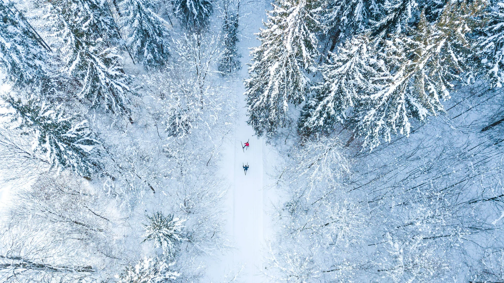 Cross-country skiing & ski touring hotel © Tourismusverband Kaiserwinkl Two skiers skiing through a snow-covered forest from above