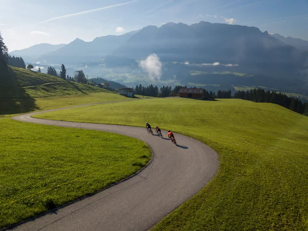 Three cyclists riding on winding road through green Alpine landscape