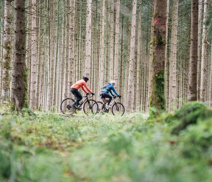 Oberbayern © Julian Rohn Zwei Radfahrer fahren durch einen dichten Nadelwald