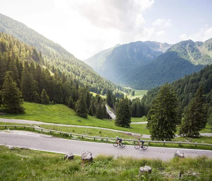 Levico See © Heiko Mandl Zwei Radfahrer auf Bergstraße mit Tannenwald und Bergen im Hintergrund