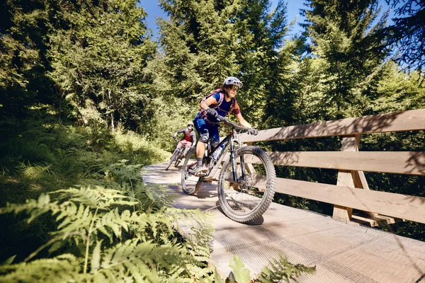 Two mountain bikers riding over a bridge in a sunny forest