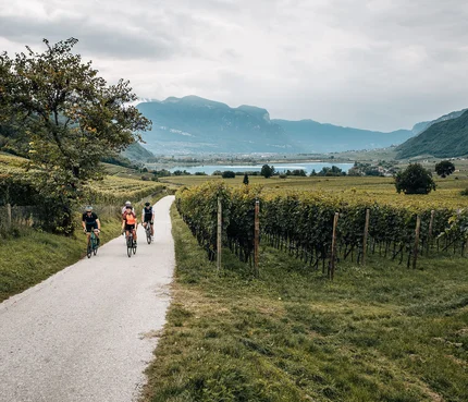 Tramin / Kalterer See © Jens Scheibe Drei Radfahrer fahren auf einer Landstraße durch Weinberge mit Bergen im Hintergrund.