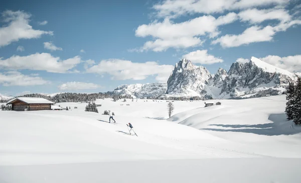 Two skiers in snowy mountain landscape with wooden huts and peaks