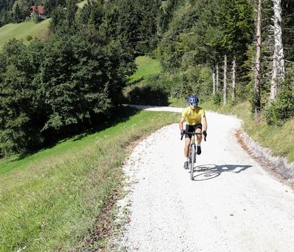 Savinja Tal © Kaja Ribezl Fahrradfahrer auf Waldweg in hügeliger Landschaft bei Sonnenschein