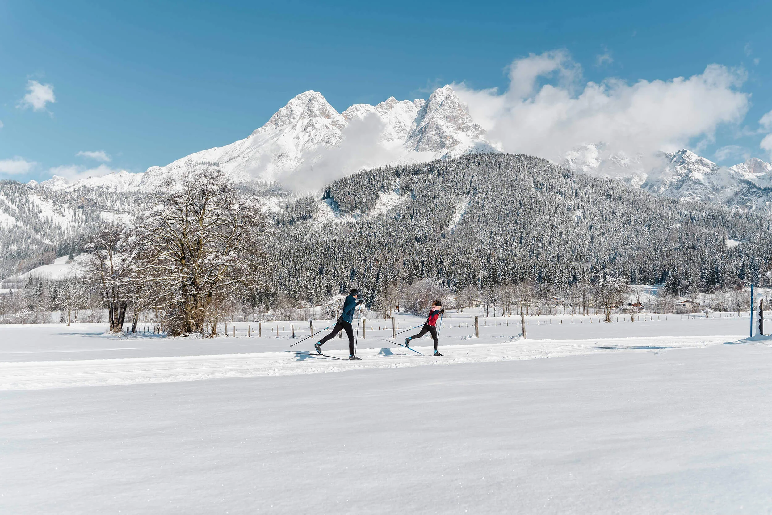 Zwei Langläufer in verschneiter Landschaft mit Bergen im Hintergrund