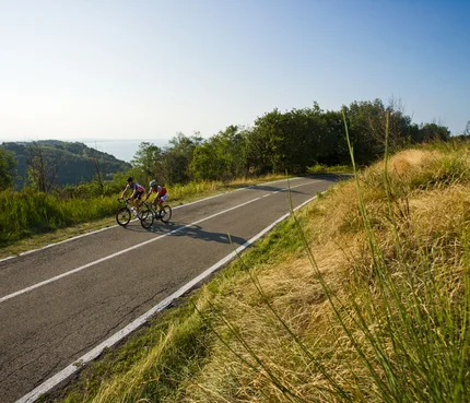 Marken © Heiko Mandl Zwei Radfahrer fahren auf einer Straße durch eine grüne Landschaft bei sonnigem Wetter