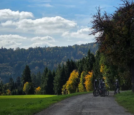 Schwarzwald © David Lemanski Radfahrer machen Pause auf Waldweg im herbstlichen Landschaftspark