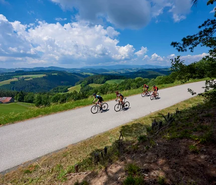 Bucklige Welt © Joris Lugtigheid Vier Radfahrer fahren auf einer Landstraße in hügeliger Landschaft bei sonnigem Wetter