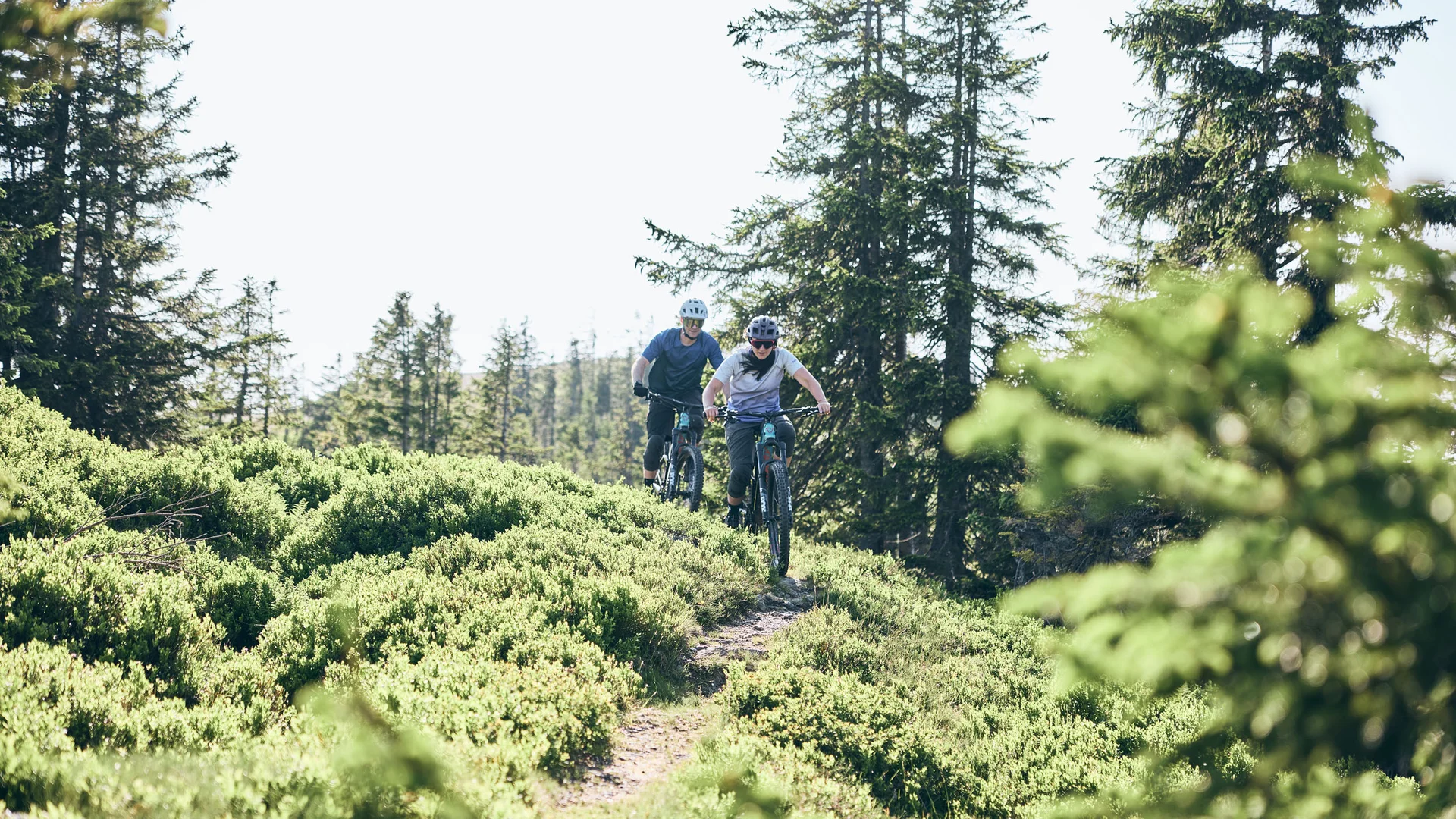 Bike Hotel © Tobias Köhler Two cyclists riding on a forest trail surrounded by green bushes and trees