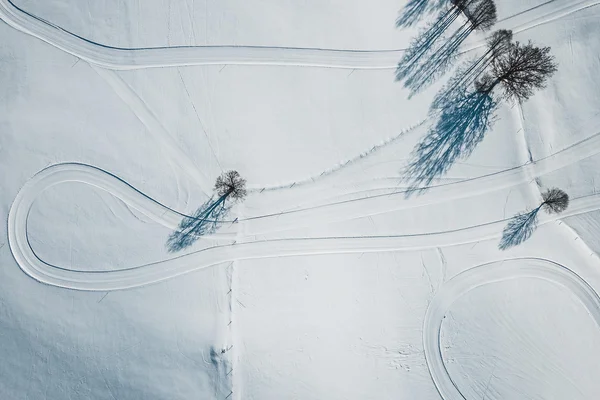 Aerial view of snowy fields with scattered trees and vehicle tracks