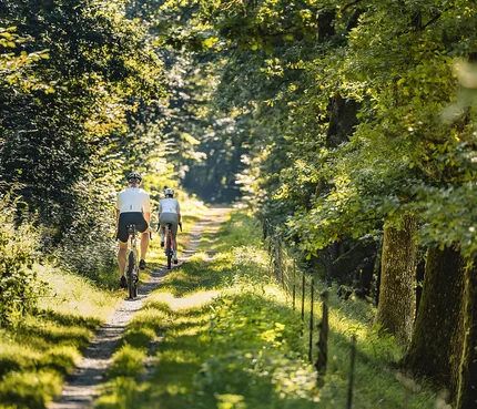 Bayerischer Wald © Stefan J. Wolf Photography Zwei Radfahrer fahren auf einem schmalen Waldweg bei Sonnenschein
