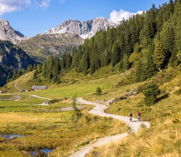Gravelbike Holidays © Salzburger Land Tourismus Two cyclists on a mountain path with Alps, meadows, and pine trees