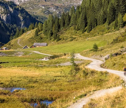 Salzburger Sportwelt © Salzburger Land Tourismus Zwei Radfahrer auf Bergweg mit Alpen, Wiesen und Tannen im Hintergrund